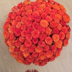 Анна Дилан, 18.12, Москва