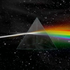 Александр Ковалевский, Vancouver