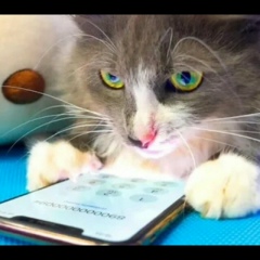 Ксения Радочина, 29.04, Челябинск