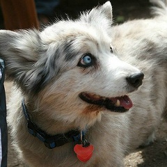 Иван Леонов, 19.05