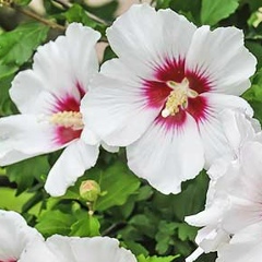 Екатерина Алейникова, 29.08, Seoul