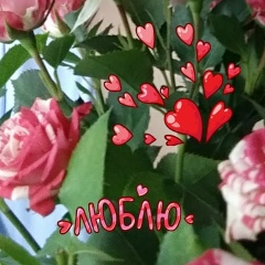 Ирина Антонова, 25.06, Санкт-Петербург