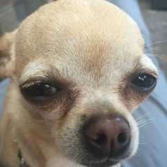 Максим Максимов, 24.02.1987, Киев