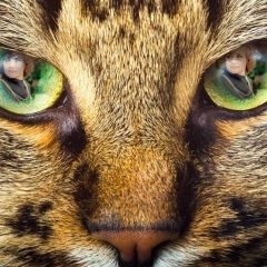 Ольга Яковлева, 19.01.1971, Санкт-Петербург