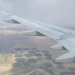 Эдуард Ким, 09.08.1990, Алматы