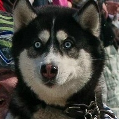 Dasha Demeshina, 05.07, Москва