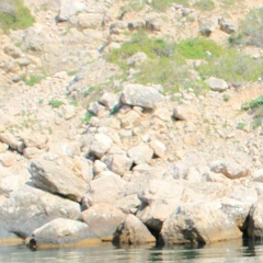 Сергей Dexter, 11.04.1985, Киев