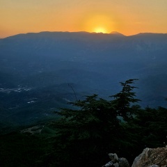 Маргарита Маргарита, 31.01.1986, Санкт-Петербург