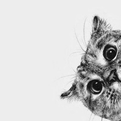 Bota Zhan, Алматы