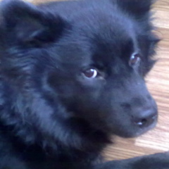 Татьяна Хафизова, 16.03, Степногорск