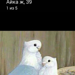 Ергали Мухамбетов, Алматы