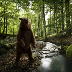 Максим Нечаев, 11.01