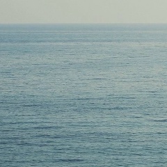 Карина Миносян