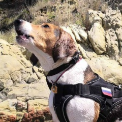 Алексей А, 30.11.1987, Ульяновск