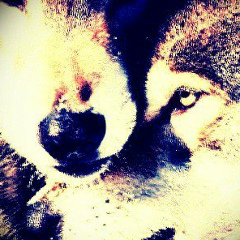 Алишер Наимов, 19.02.1994, Самара