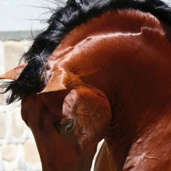 Абылай Габиденулы, 02.12.1992