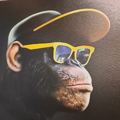 Аркадий Ионов, 22.07, Череповец