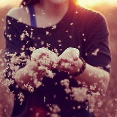 Мехри Абдуллаева, 04.06, Москва