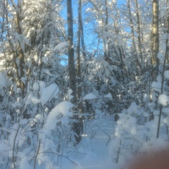 Александр Ширнов, 21.12.1986, Санкт-Петербург