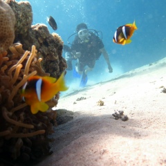 Кенес Т, 31.01.1988, Актобе