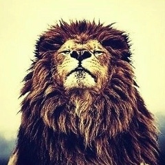 Abai Tolegen, 08.12.1995