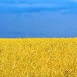 Ольга Ващенко, 05.09.1986, Днепр (Днепропетровск)