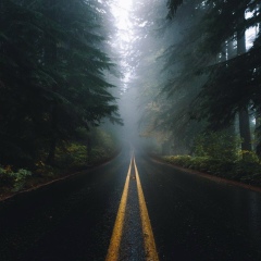 Зелим Шовхалов, 06.11, Грозный