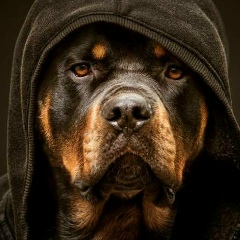 Максим Максимов, 09.02, Москва