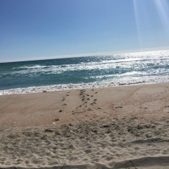 Ольга Варвянская, 21.05, Москва