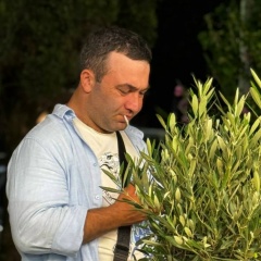 Андрей Папазян, 06.01, Сочи