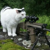 Василиса Рудых, 27.06.1994