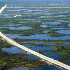 Дамир Валеев, 01.08.1981