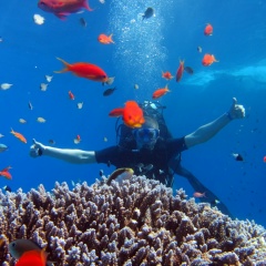 Кирилл Чирков, Глазов