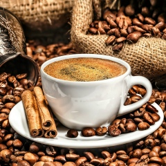 Алексей Ельцов, 22.07.1975, Санкт-Петербург