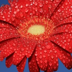 Ольга Шатилова, 12.04.1975, Петрозаводск