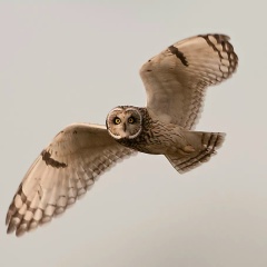 Юлия Смирнова, 28.08, Санкт-Петербург