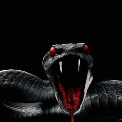 Максим Граф, 20.10, Москва