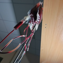 Тоха Геннадичь, 18.05.1986, Ижевск