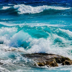 Балык Бар, 20.05, Актау