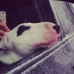 Женечка Василенко, 03.07