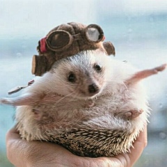 Игорь Салтысюк, Нижний Новгород