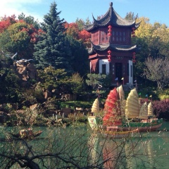 Евгения Петрушевская, 10.10, Харьков