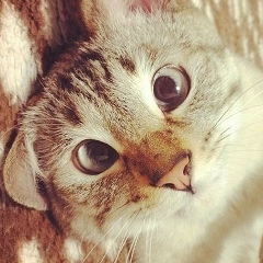 Манар Жолгельдиев, 01.12, Алматы