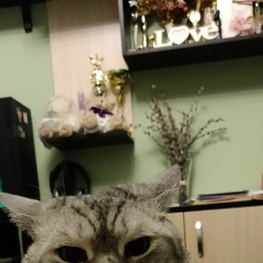 Алексей Синельник, 30.03, Киев