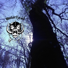 Roland Clemenceau, Saint-Ciers-d'Abzac