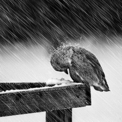 Евгений Александрович, 24.04.1981, Киров