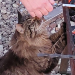 Юлия Кутепова, Москва