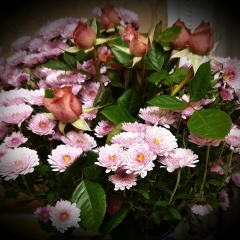 Юлия Заянчкаускайте, 23.08, Калининград