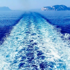 Дмитрий Цепляев, 16.08.1981, Санкт-Петербург