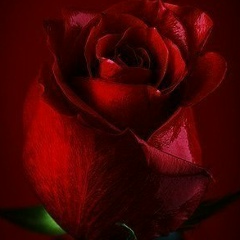 Хава Ибрагимова, 12.07.1989, Чебоксары